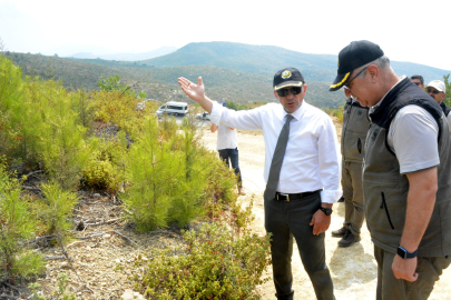 Vali Şahin: Büyük Manavgat Yangını'ndaki kötü günlerden çok az anı kaldı