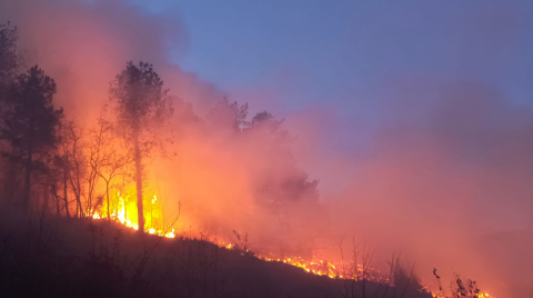 Hatay'da çıkan orman yangını kontrol altına alındı